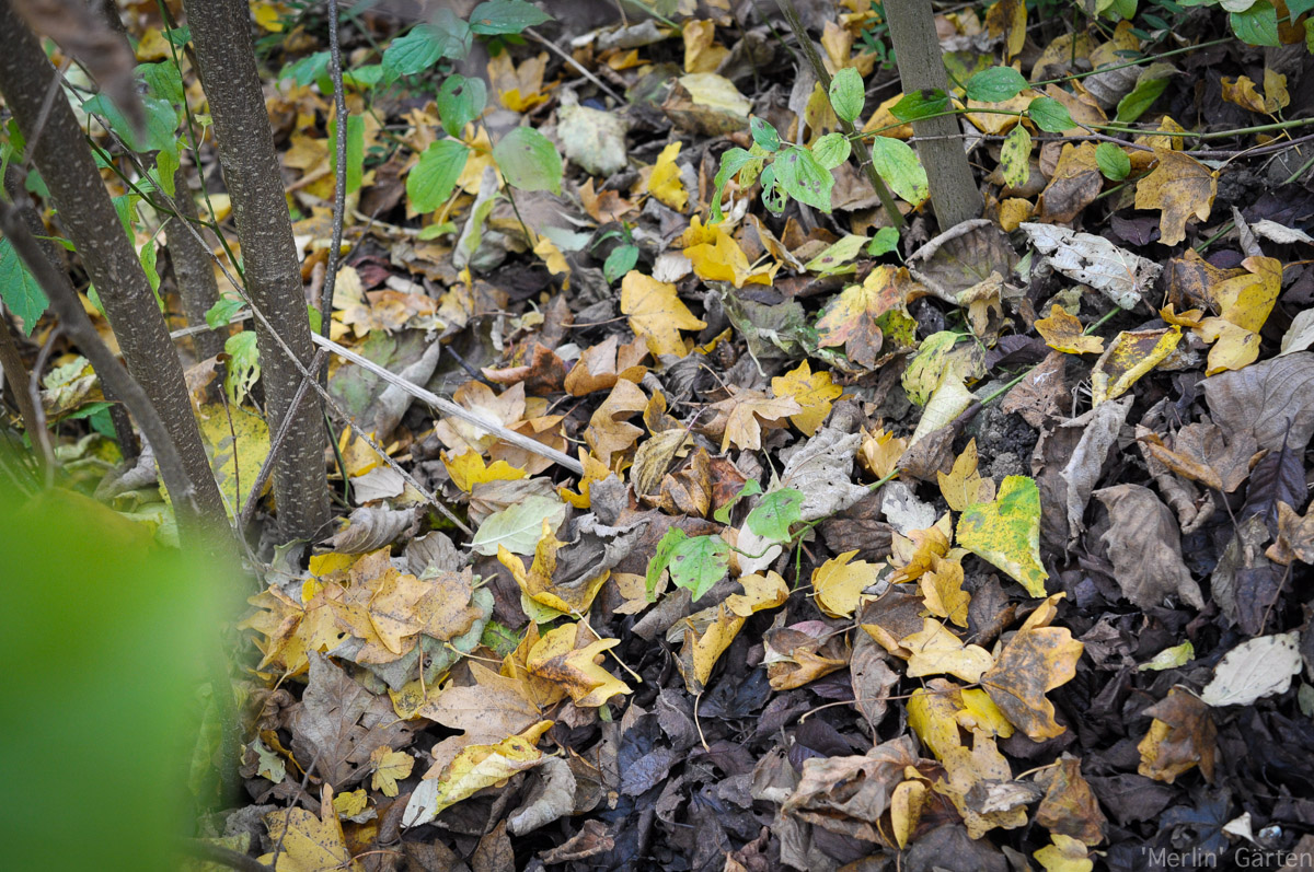 Ein Wintermantel für den Garten